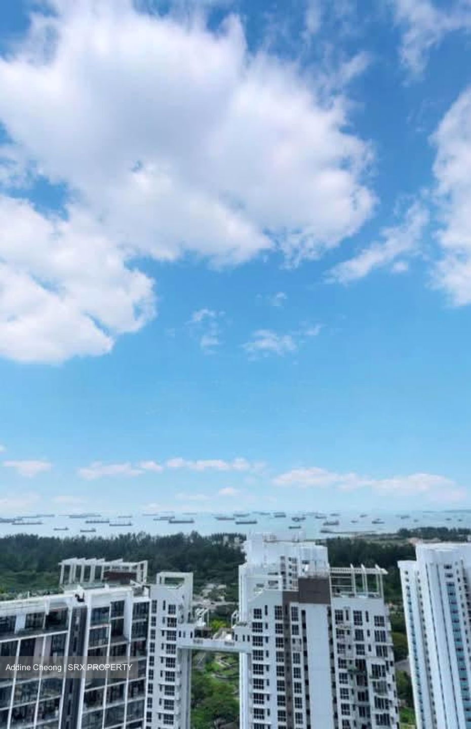 Arina East Residences (D15), Apartment #539103501